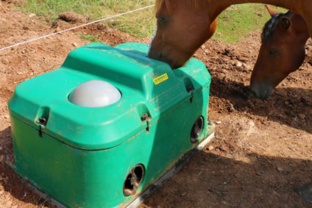 Поилки для коров.