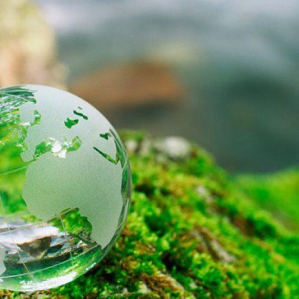 обучение по экологической безопасности